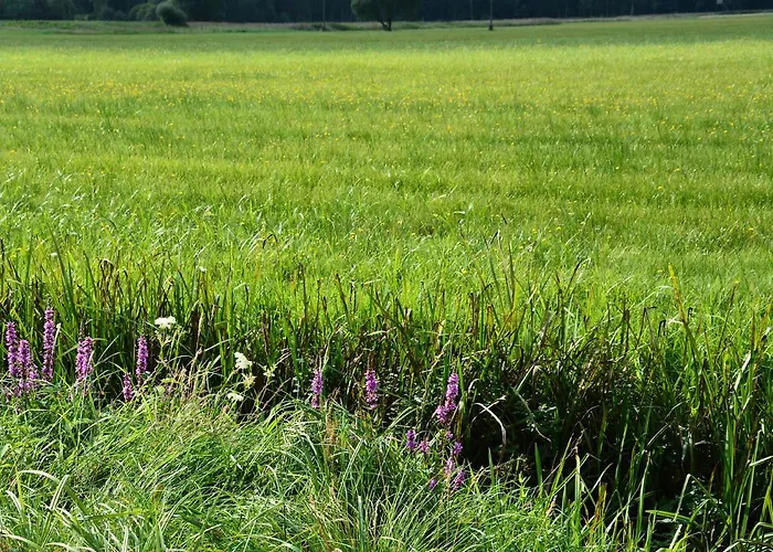 Dzika Jurta Na Lebkach Luxusní stan *